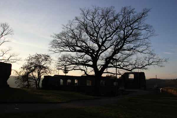 Burgruine Elsterberg mit Friedenseiche
