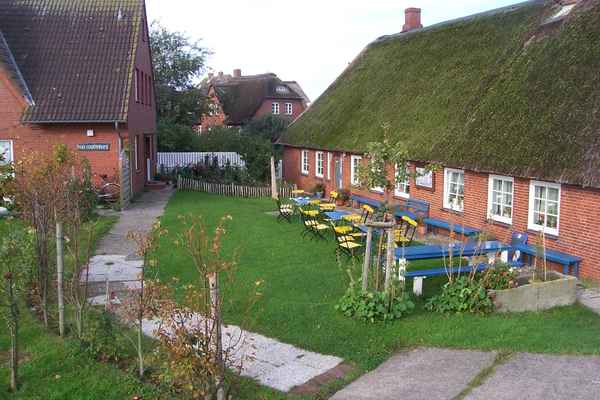 Pesel - Café