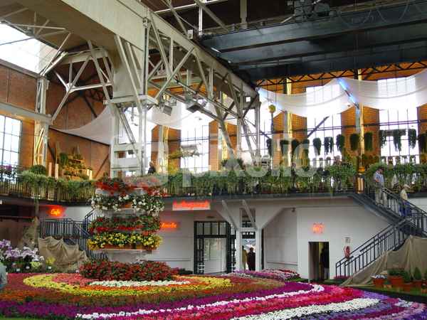 blumenausstellung 11