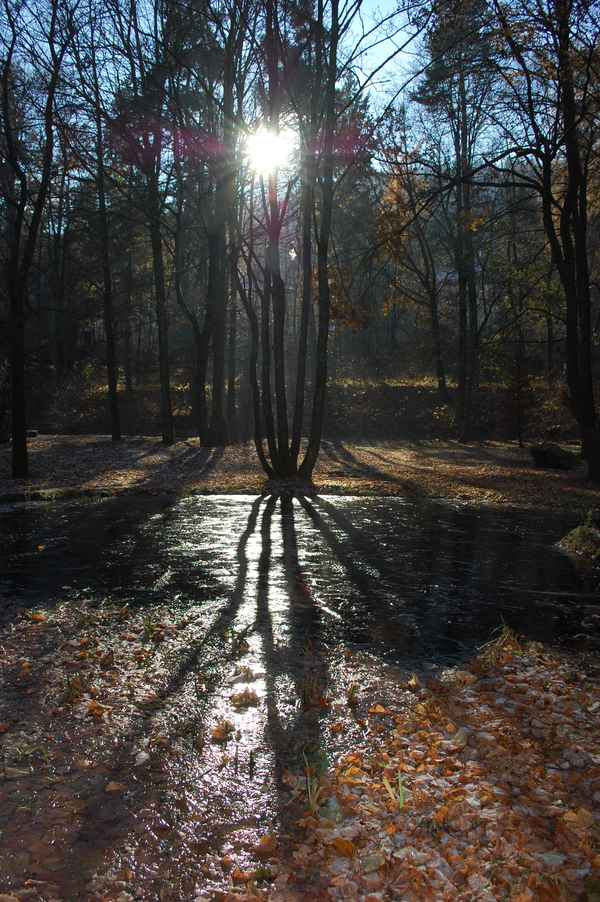 Novembermorgen