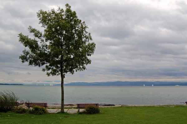 Blick auf den verregneten Bodensee