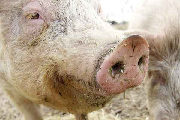 bitte, nicht schon wieder den spruch mit der steckdose