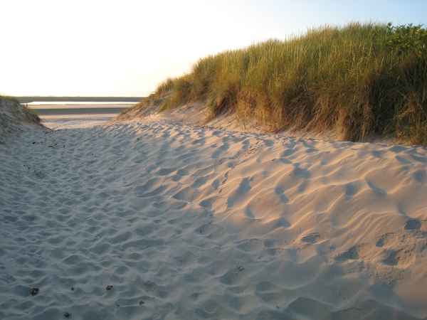 Düne, Strand und Mee(h)r