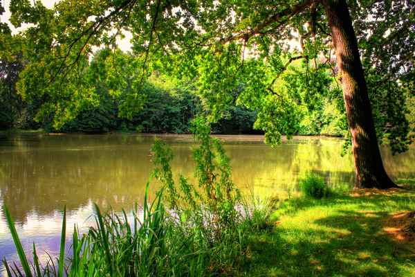 Ruhe im Schlosspark 5