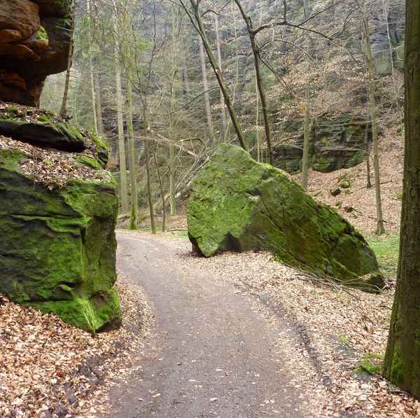 Auf dem Malerweg in Elbsandsteingebirge