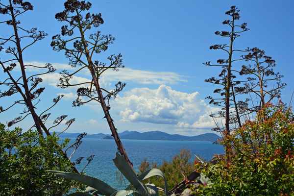 Blick auf Elba