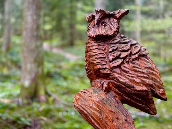 Waldkauz als Schnitzerkunst
