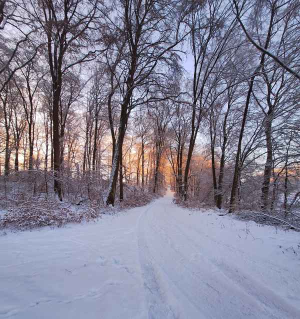 Winter