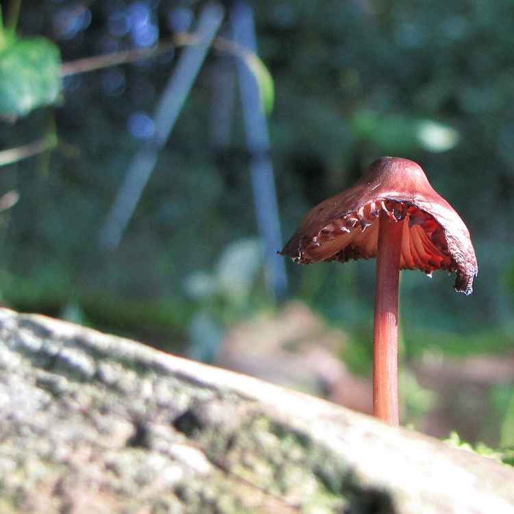 Bin ich alleine hier ?