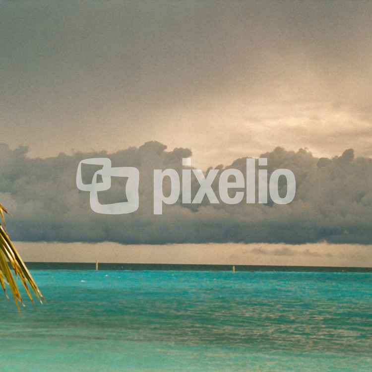 Regen im Paradies