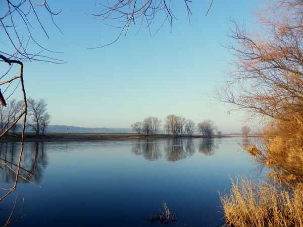 Ein Februarmorgen am Fluß