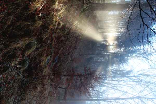 Die Sonne bricht durch