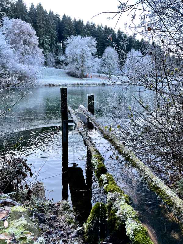 Winterzauber ohne Schnee