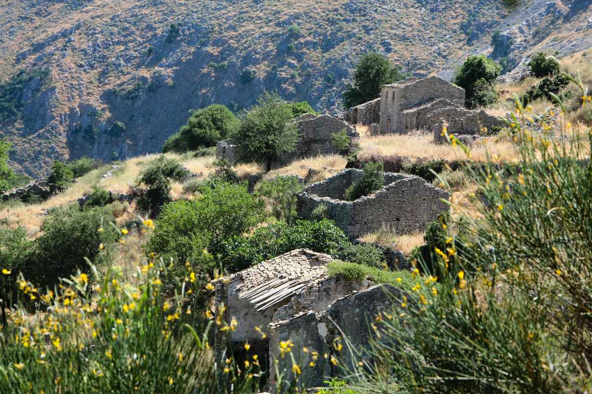 Paleo Chorio