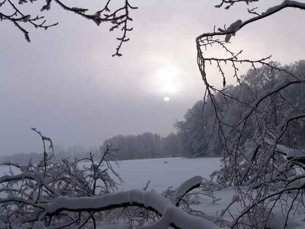 Winter am Haussee