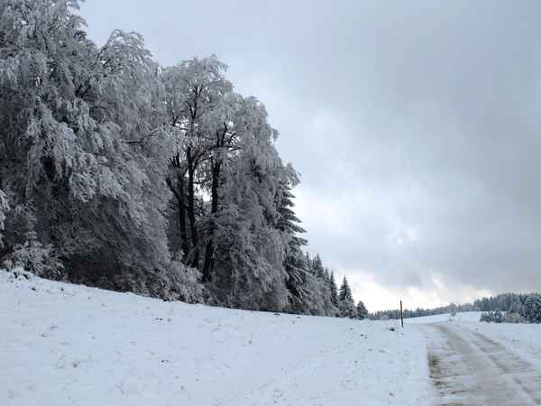 Walking durch die Winterlandschaft