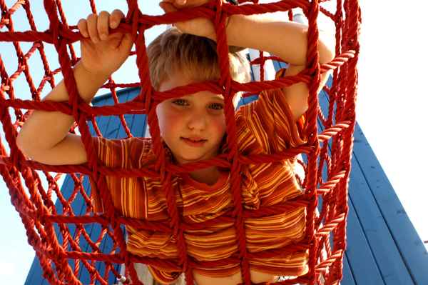 Spiderboy 1