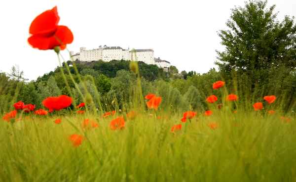 Salzburg