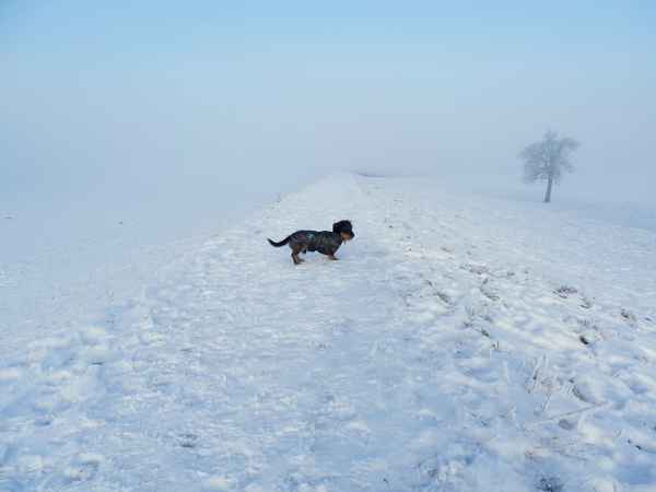 Wanderung bei minus 17 Grad