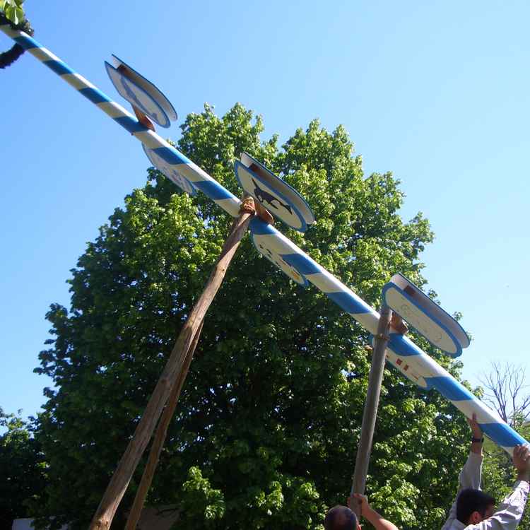 Maibaum Aufstellen in Bayern
