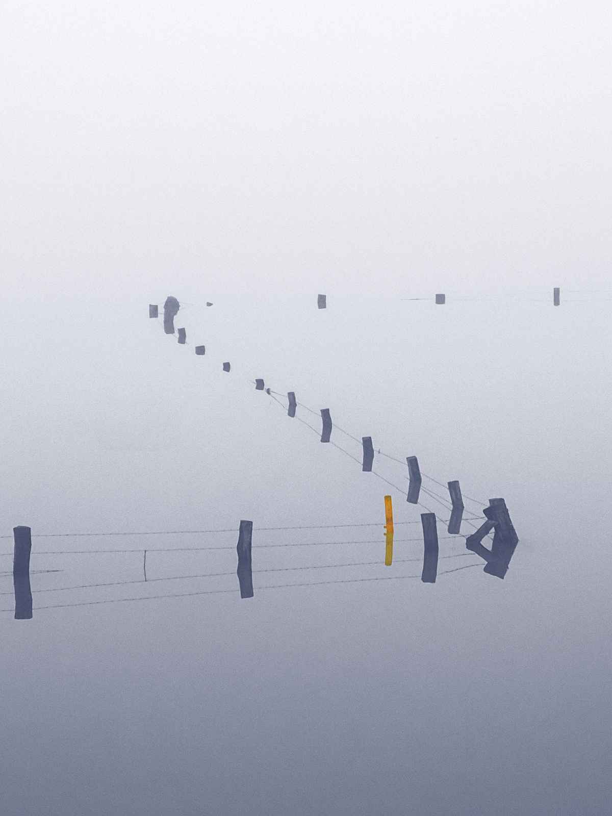 Hochwasser mit Nebel