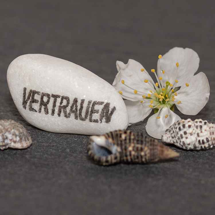 Vertrauen