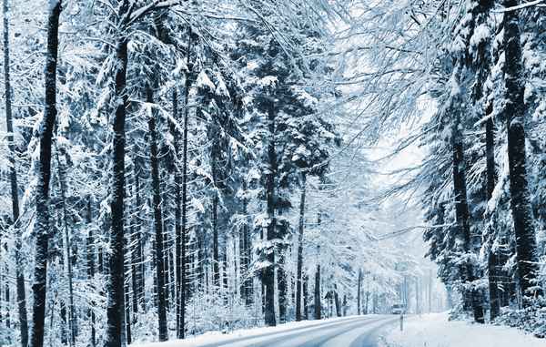 Winterliche Waldstraße