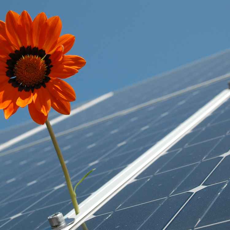 Solar - Erneuerbare Energien