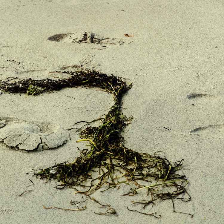 Spuren im Sand