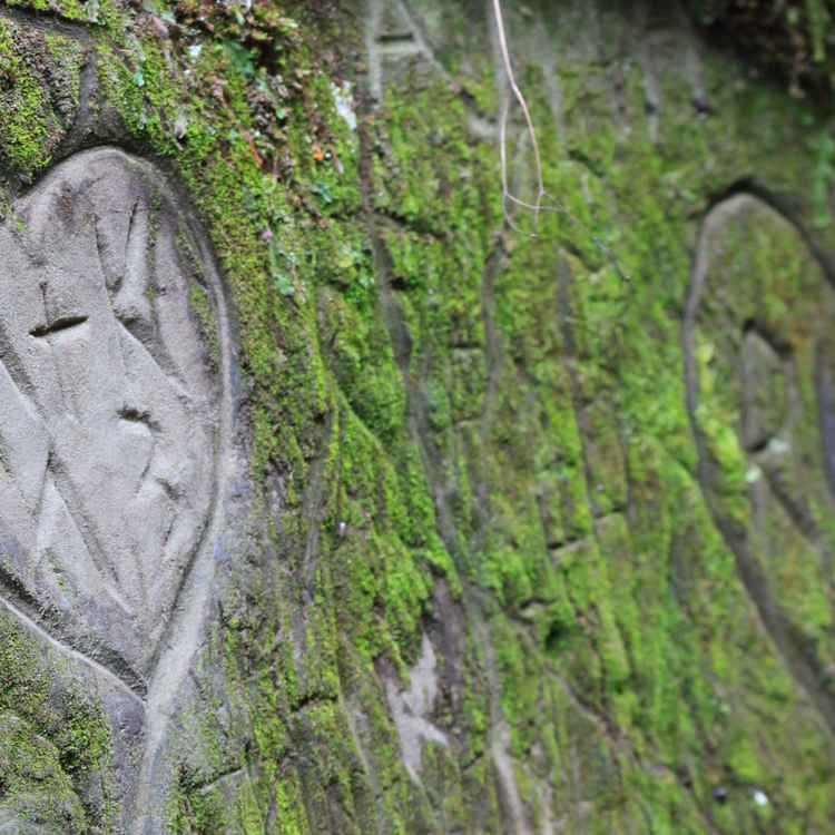 Love is everywhere