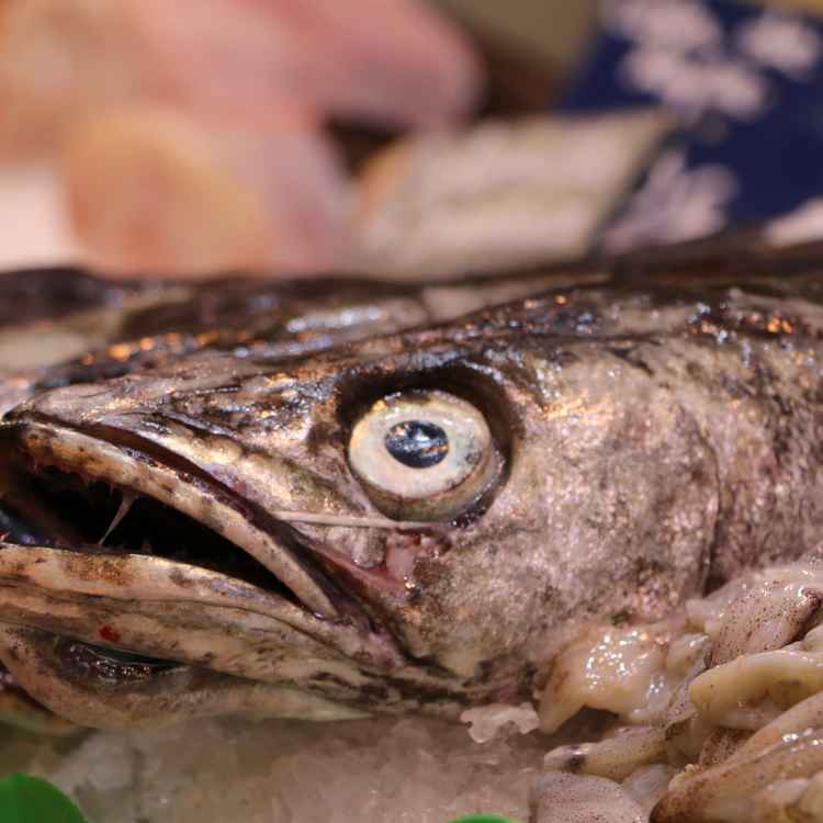 Schau mir in die Augen