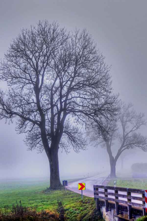 Die Kurve im Nebel