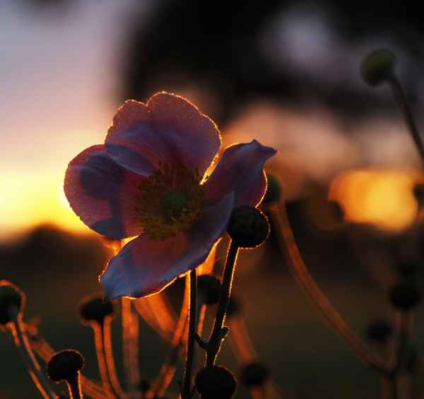 abenstimmung 2