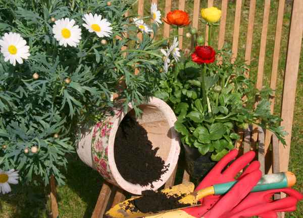 Frühlingszeit = Pflanzzeit