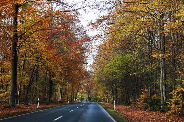 fahrt durch den herbst