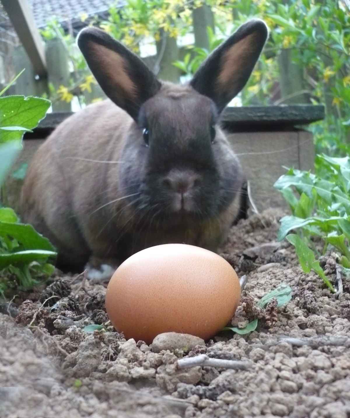 ... und er tut es doch!!!