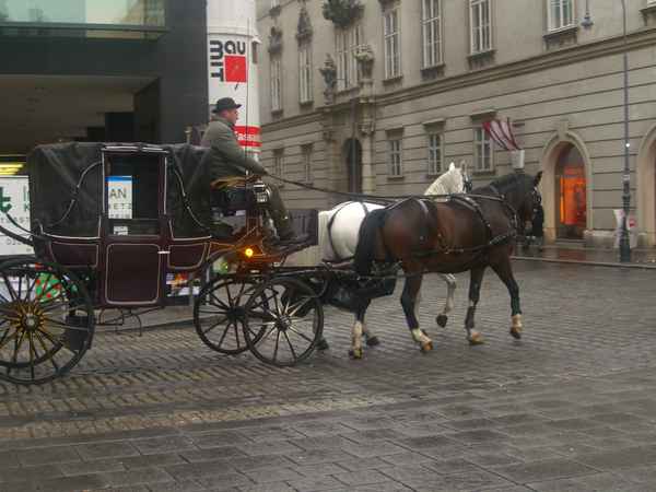 Wien Fiaker