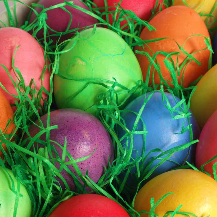 Bunte Eier . . . selbst gefärbt.