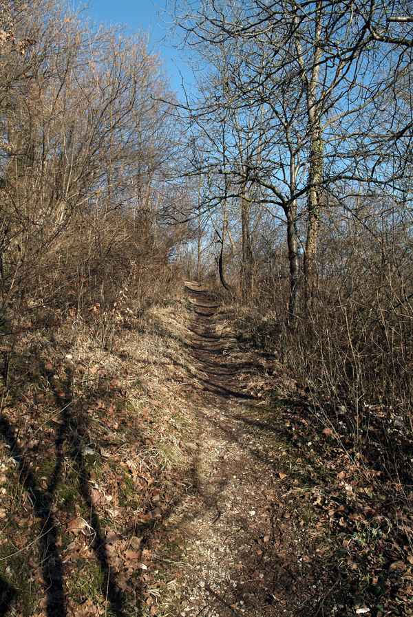 Immer bergan