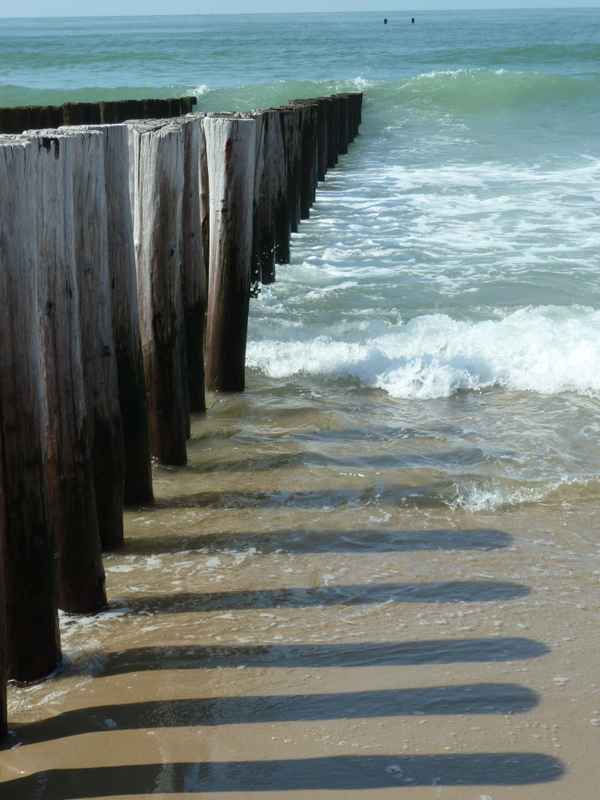 Buhnen am Meer