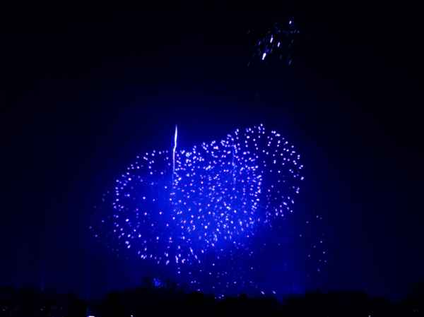 SILVESTER  08/09   II