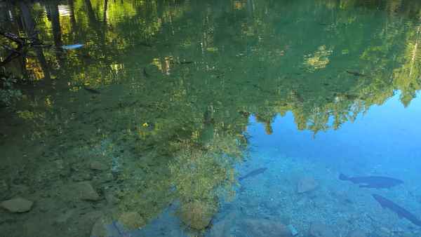 Badersee