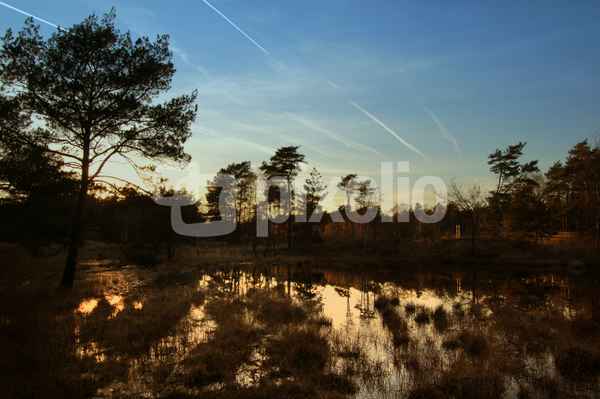 Abends am See