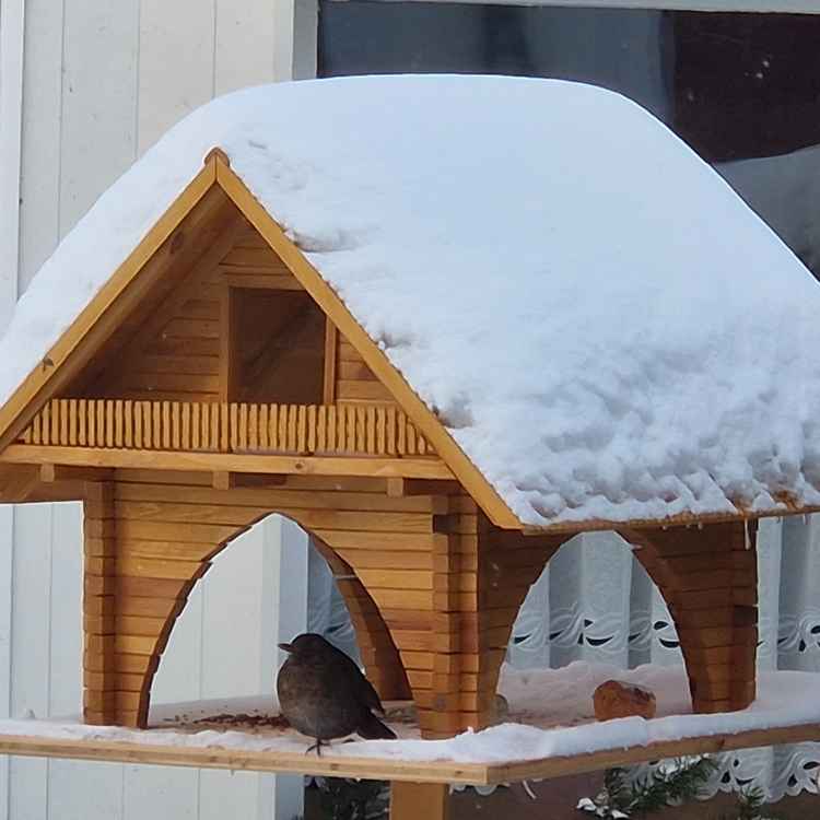 selbstgebautes Vogelhaus