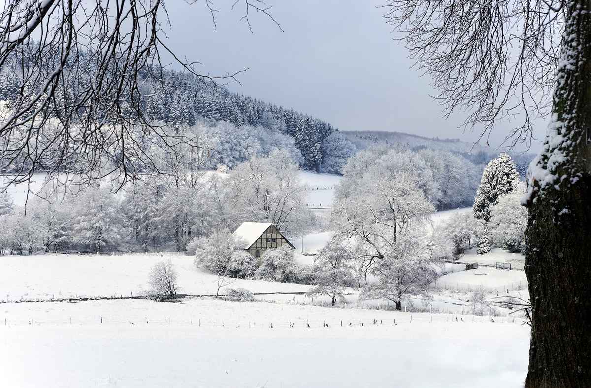 Die Bollmühle im Teutoburger Wald