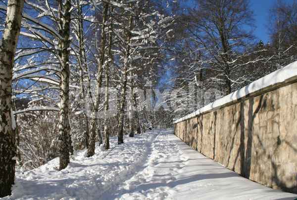 Verschneiter Weg