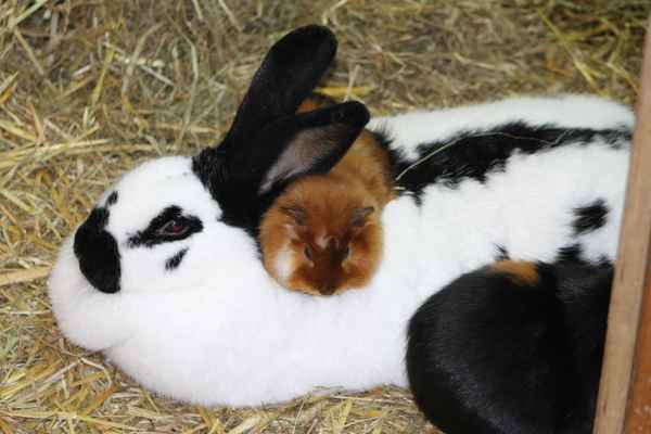 Freundschaft