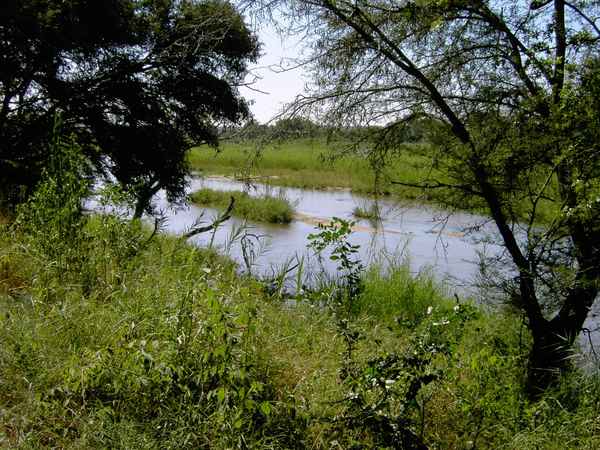 Südafrika - Krüger-NP - Impressionen 6