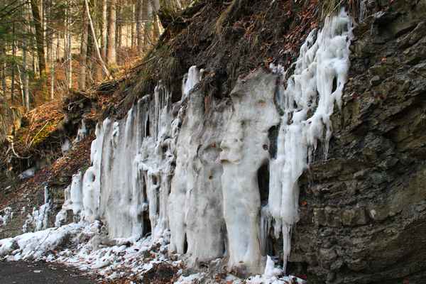 Bizarres bei Tauwetter 02