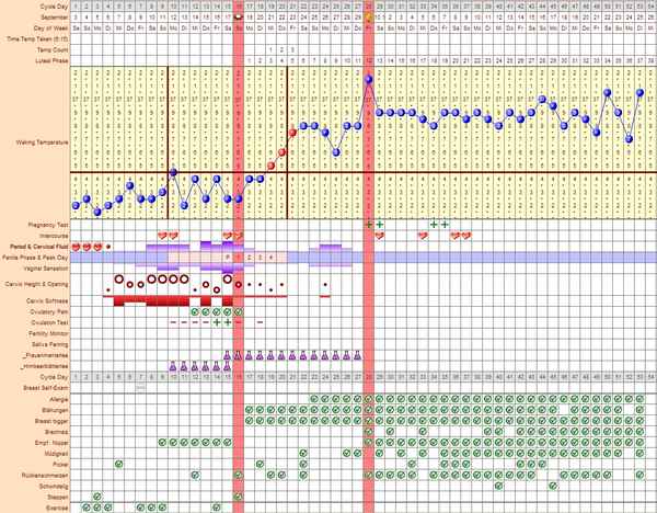 Temperaturkurve (schwanger)